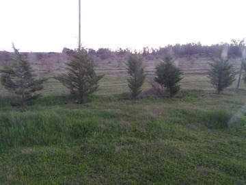Parcela en venta en Espinillo Lote A 8-1, Litueche