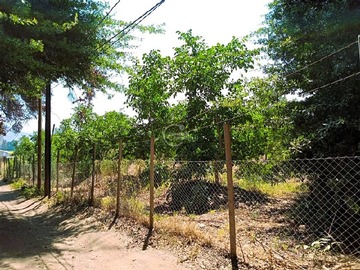 Venta / Parcela / Nogales