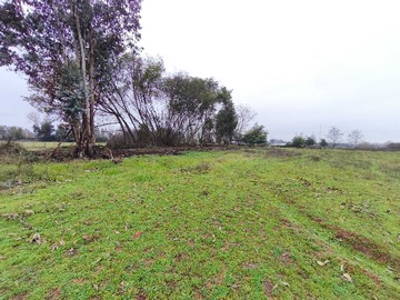 Terreno en venta en Venta parcela 2 hectáreas 1/4 a orilla de camino (177213), San Rafael
