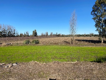 Terreno en venta en Linares acciones de agua terreno productivo (118355), Linares