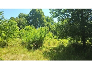 Terreno Agricola en venta en Se venden 11 hectareas de terreno cerca de chillan y por recinto, pinto, Pinto