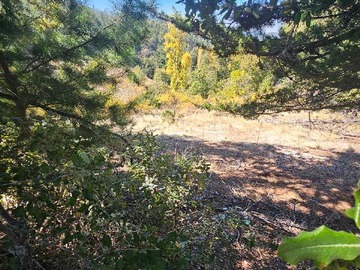 Terreno en venta en Terreno con Excelente Conectividad y Vistas (160213), Yumbel