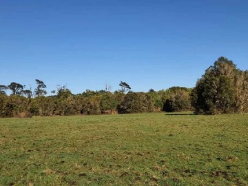 Venta / Terreno / Puerto Varas