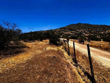 Venta / Terreno / Paine