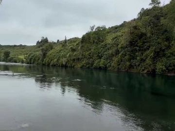 Venta / Terreno / Río Bueno