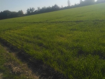 Terreno en venta en Oportunidad!, Parral
