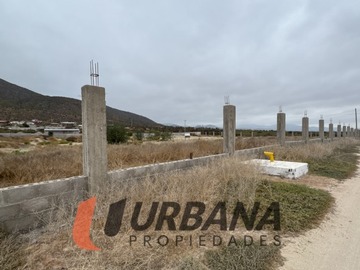 Sitio en venta en Lomas de guanaqueros sitio 5000m2 (105), Coquimbo