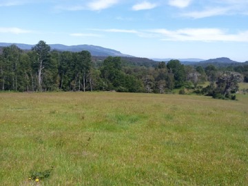 Terreno Agricola en venta en 39°25'16.0"S 72°24'01.5"W, Loncoche - 3 dormitorios, 1 baño