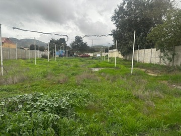 Sitio en venta en Vendo Sitio Muy Buena Ubicacion Plan Quillota