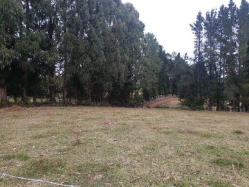 Terreno en venta en Camino Quema del Buey, Puyehue