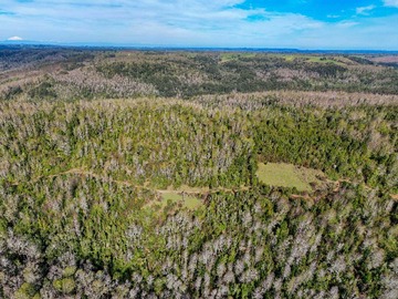 Terreno Agricola en venta en Moderna y Luminosa con Gran Potencial (175845), Fresia