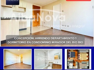 Departamento en arriendo mensual en Departamento unipersonal concepcion (169474), Concepción - 1 dormitorio