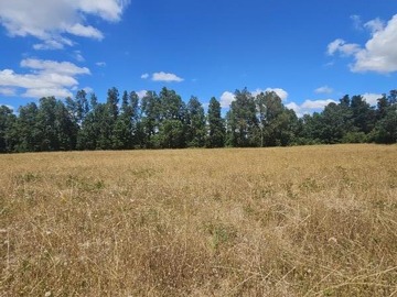 Parcela en venta en Villarrica, Villarrica