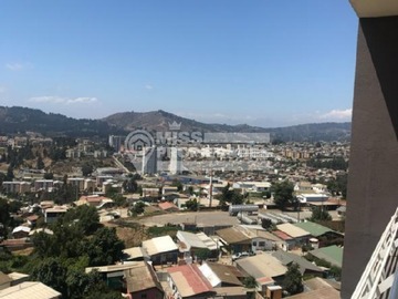 Departamento en venta en Viña del Mar, Viña del Mar - 2 dormitorios, 2 baños