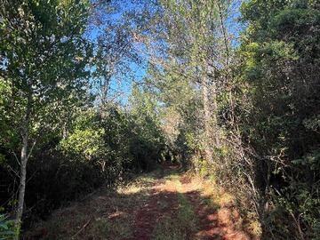 Terreno en venta en Terreno con Gran Potencial de Inversión (153933), Valdivia