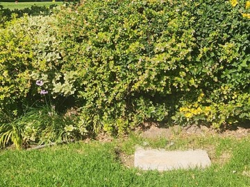 Lote de Cementerio en venta en Parque del recuerdo, Huechuraba