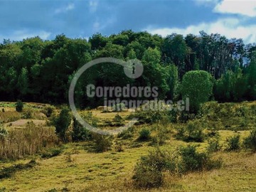 Venta / Parcela / Quemchi