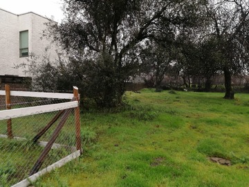 Venta / Sitio / Yumbel