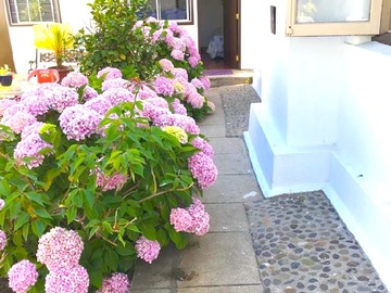 Estudio en arriendo mensual en Callao, Viña del Mar - 1 dormitorio, 1 baño