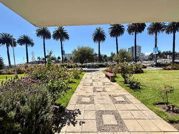 Departamento en arriendo mensual en Céntrico piso bajo jardines y borde costero (168353), Viña del Mar - 1 dormitorio, 1 baño