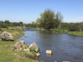 Parcela en venta en Las Arboledas, Teno