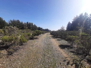 Terreno en venta en 10 mil m2 de terreno industrial (74615), Viña del Mar
