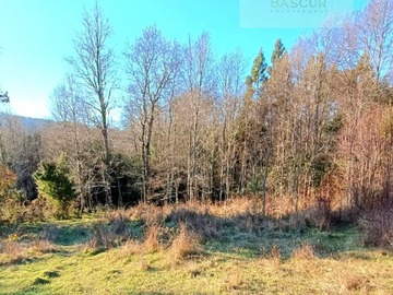 Terreno en venta en Ruta t 703, Panguipulli
