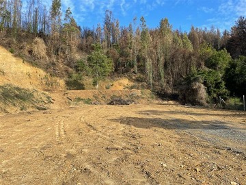 Sitio en venta en Recta Manzano. SanJosé de Palco, Coronel