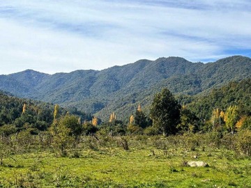 Terreno Agricola en venta en Excelente inversion sector los peumos (169190), Linares