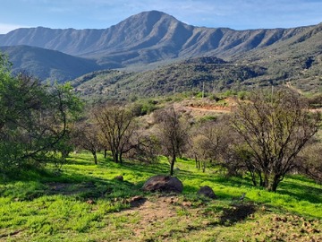 Parcela en venta en Sector Ocoa, Hijuelas, Hijuelas