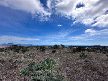 Terreno en venta en Terrenos con Gran Vista al Mar y Rol (142209), La Ligua