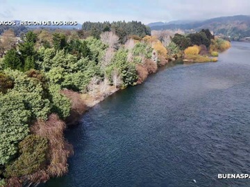 Parcela en venta en Camino Balsadero Anwandter, Los Lagos, Los Ríos 5170000, Chile, Los Lagos