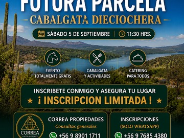Venta / Terreno / Limache
