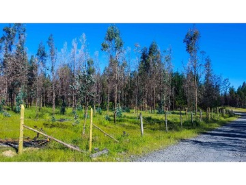 Parcela en venta en Chancal, Quillón