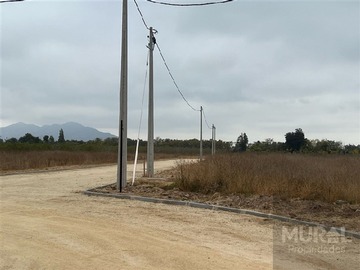 Parcela en venta en Avda. Manuel Castillo / Avda. Calera de Tango, Peñaflor