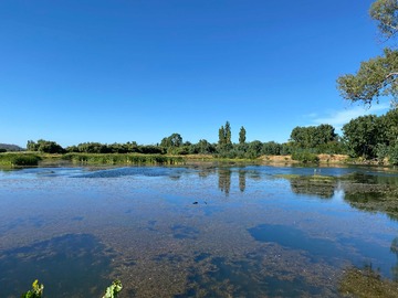 Terreno Agricola en venta en Se Vende Espectacular Campo. Mulchen (73488), Mulchén