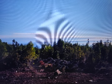 Parcela en venta en Puerto Montt, Puerto Montt