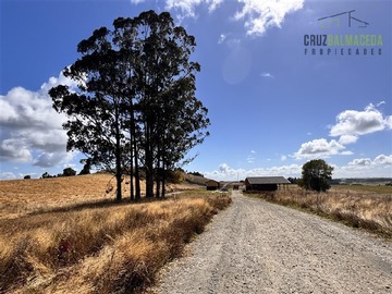Parcela en venta en Fundo Llanquihue, Llanquihue
