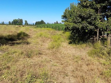 Parcela en venta en Ruta 5 sur - Parcelación Santa Teresa, Maule