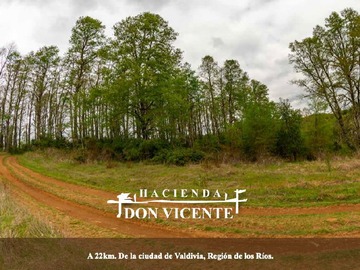 Parcela en venta en Arique, Valdivia
