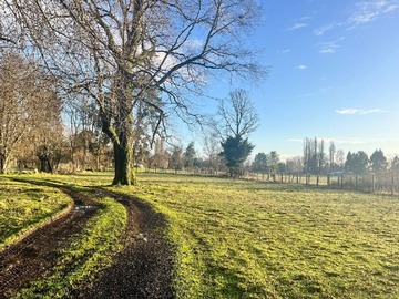 Terreno en venta en Terreno Agrícola, sector La Poza (68671), Osorno