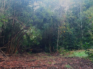 Terreno en venta en Parcelas contiguas precio inmejorable La Vara (167883), Puerto Montt
