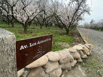 Parcela en venta en Camino Padre Hurtado y acceso sur, Buin