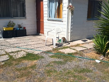 Casa en arriendo mensual en Las Violetas, Padre Hurtado - 2 dormitorios, 1 baño