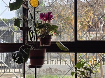 Arriendo Mensual / Casa / Rancagua