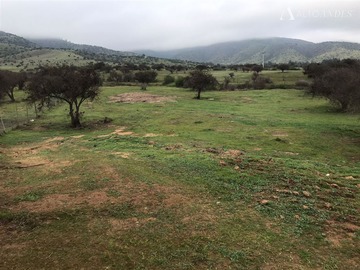 Sitio en venta en Los Maitenes, Melipilla