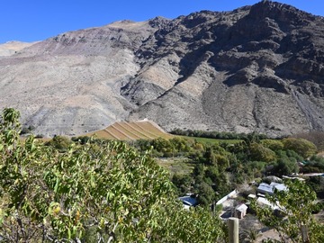 Venta / Terreno Agricola / Paihuano