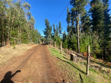 Parcela en venta en Cholchol- camino a galvarino, Galvarino