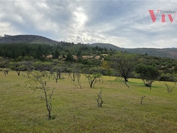 Terreno Agricola en venta en Forestal, agrícola, Pencahue