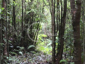 Sitio en venta en Ruta Sargazo Sector Correntoso, Puerto Montt